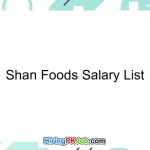 Shan Foods Salary List